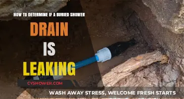 Detecting Leaks in Buried Shower Drains: A Step-by-Step Guide