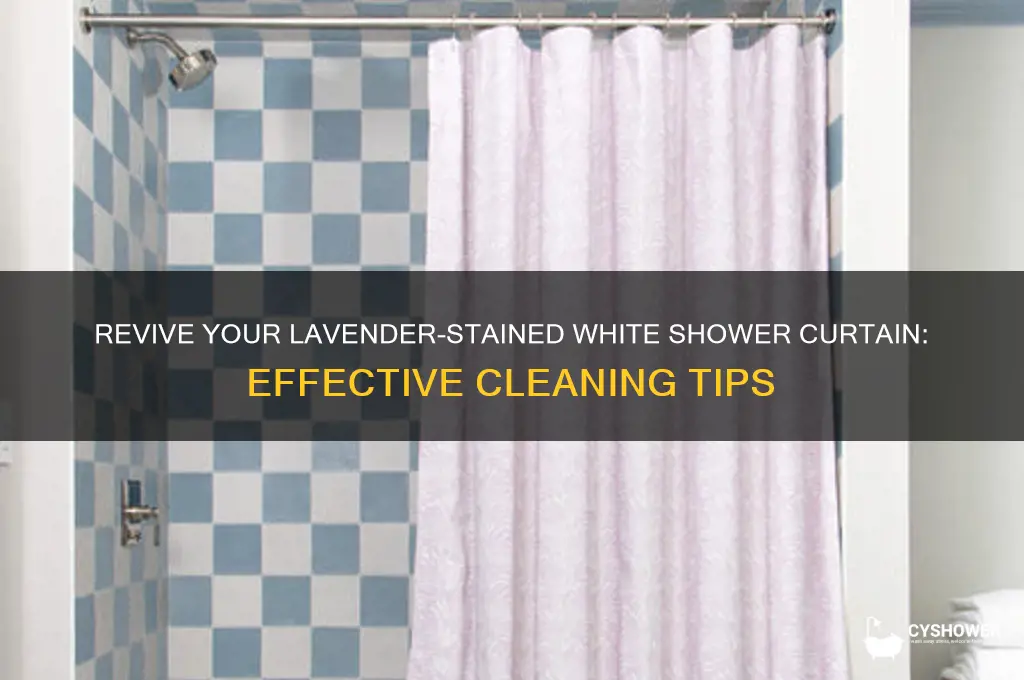 how to die a white shower curtain lavendar