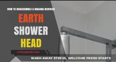 Step-by-Step Guide to Disassembling Your Niagara N2915CH Earth Shower Head