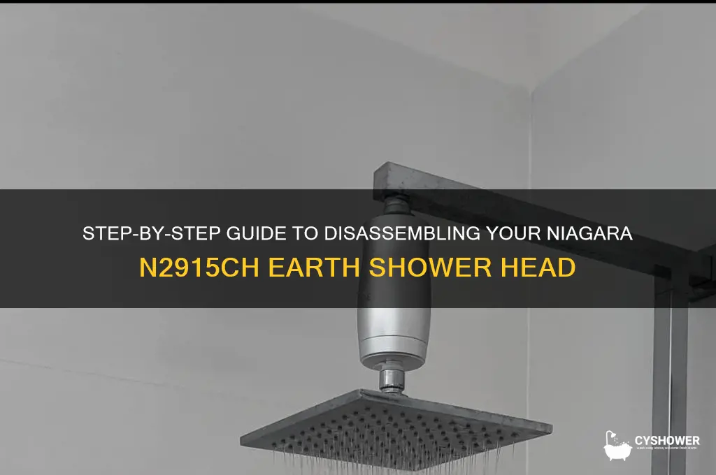 how to disassemble a niagara n2915ch earth shower head