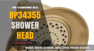 Step-by-Step Guide to Disassembling Delta RP34355 Shower Head Easily