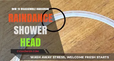 Step-by-Step Guide to Disassembling Your Hansgrohe Raindance Shower Head