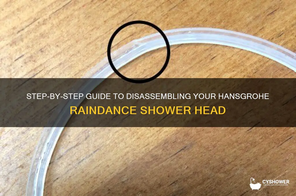 how to disassemble hansgrohe raindance shower head