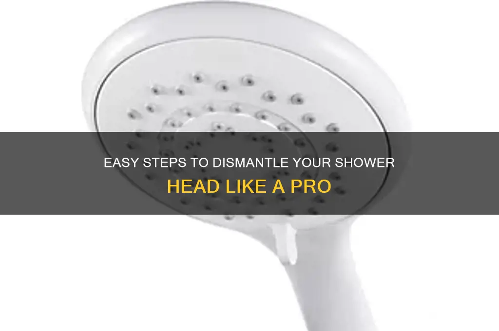 how to dismantle a shower head