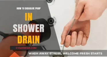 Quick Fixes: Dissolving Poop Clogs in Your Shower Drain Easily