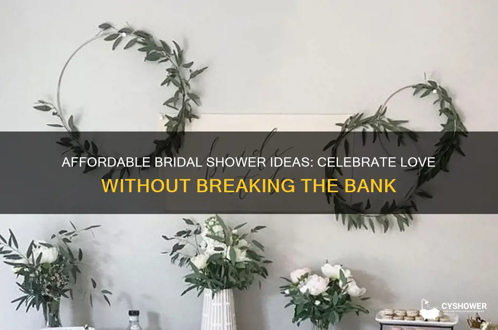 how to do a bridal shower on a budget