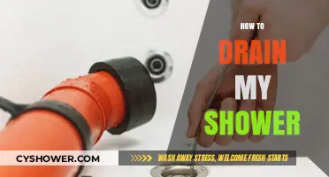 Quick and Easy Guide to Draining Your Shower Effectively