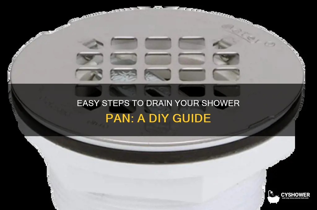 how to drain shower pan