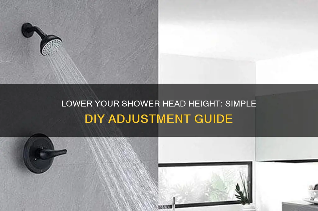 how to drop height of shower head