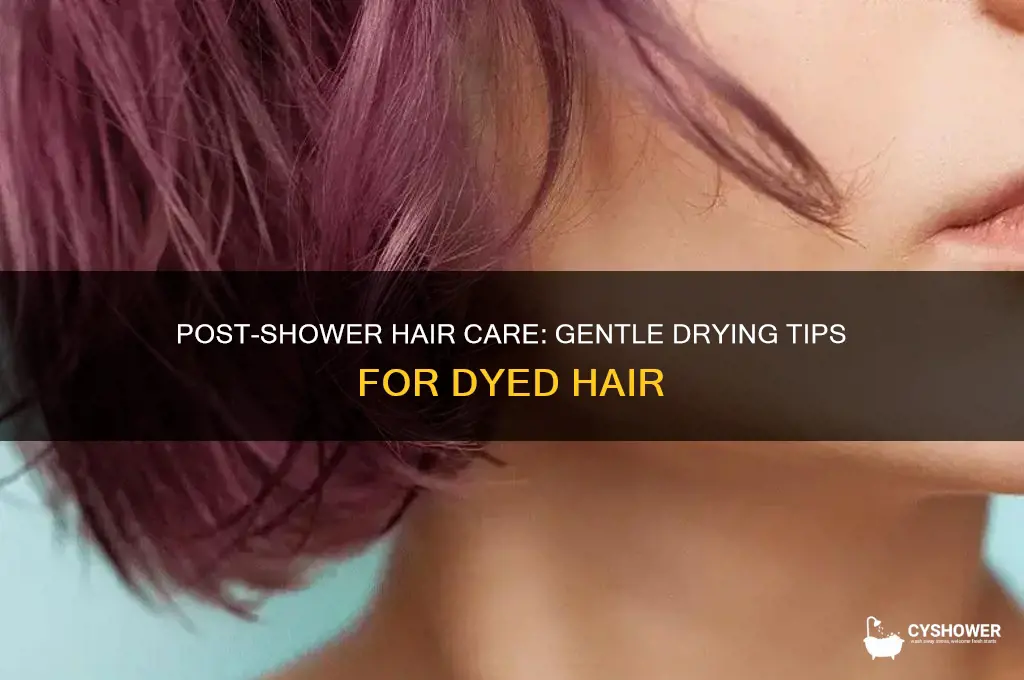 how to dry hair after shower with dye