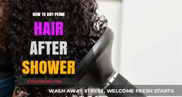 Mastering Post-Shower Care: Drying Permed Hair for Lasting Curls