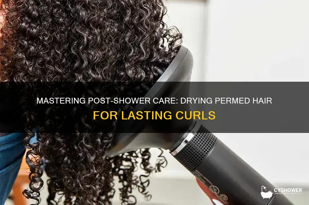 how to dry perm hair after shower