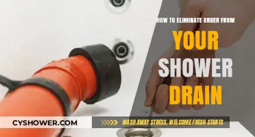 Quick Fixes to Clear and Prevent Shower Drain Clogs