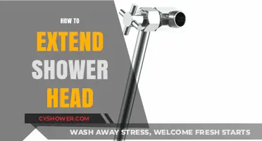 Easy DIY Tips to Extend Your Shower Head Height and Reach