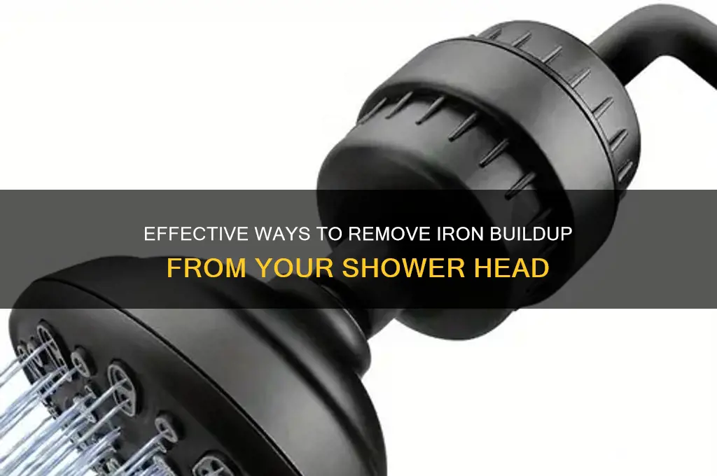 how to filter iron our of shower head