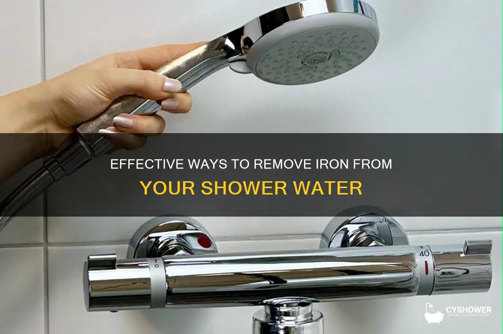 how to filter iron out of shower water