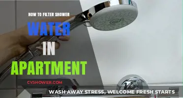 Effective Ways to Filter Shower Water in Your Apartment