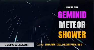 Spotting the Geminid Meteor Shower: A Beginner's Guide to Celestial Wonders