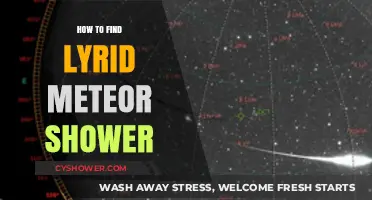 Spotting the Lyrid Meteor Shower: A Beginner's Guide to Night Sky Wonders