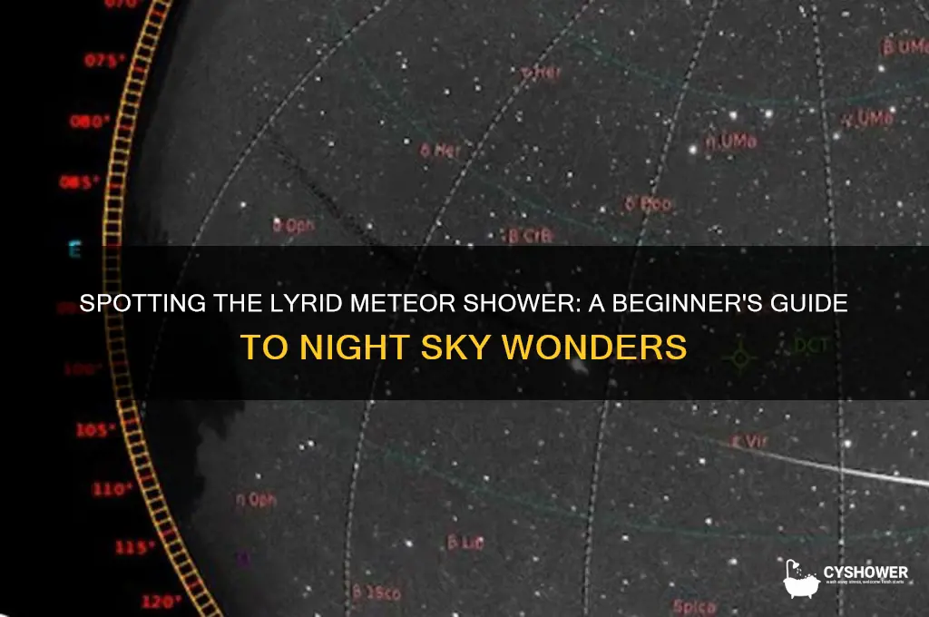 how to find lyrid meteor shower