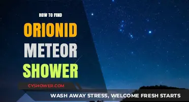 Spotting Orionid Meteors: A Guide to the Celestial Show