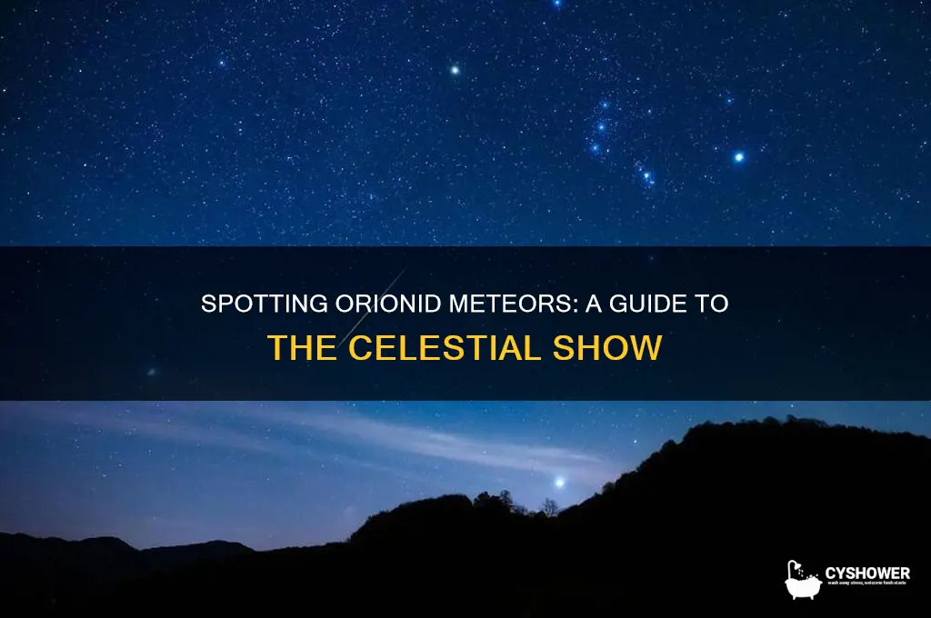 how to find orionid meteor shower