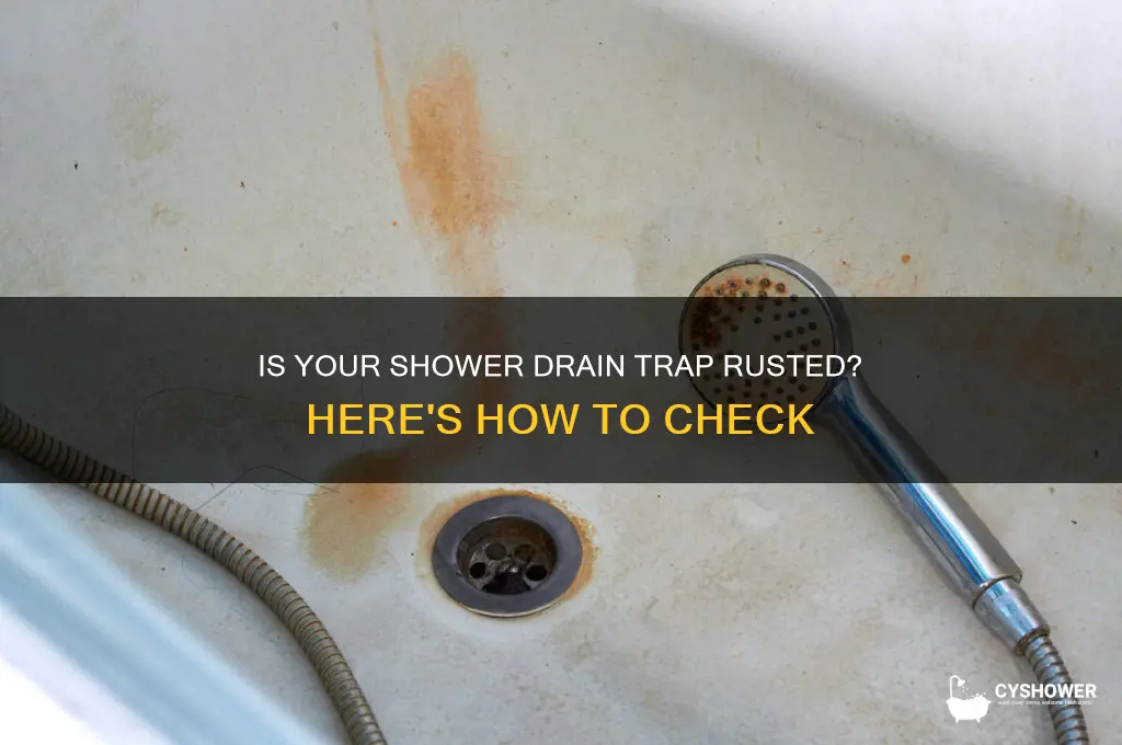 how to find out if shower drain trap is rusted