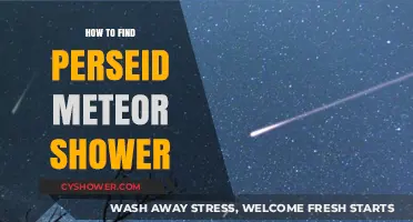 Spotting the Perseid Meteor Shower: A Stargazer's Ultimate Guide