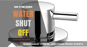Quick Guide: Locating Your Shower Water Shut-Off Valve Easily
