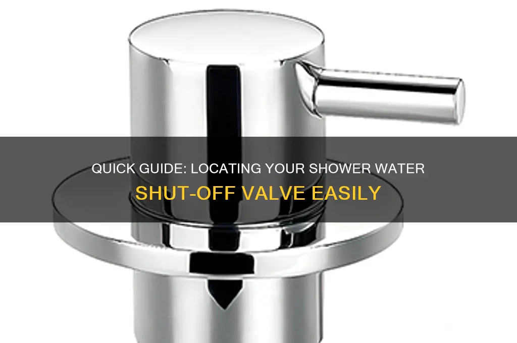 how to find shower water shut off