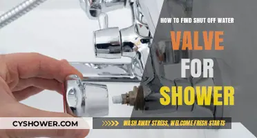 Locate Your Shower's Water Shut-Off Valve: A Quick DIY Guide
