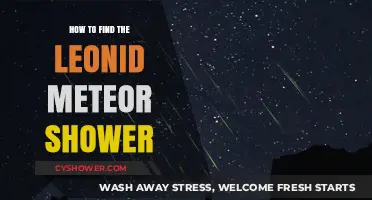 Spotting the Leonid Meteor Shower: A Stargazer's Ultimate Guide