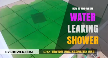 Detecting Shower Leaks: A Step-by-Step Guide to Finding Water Leaks