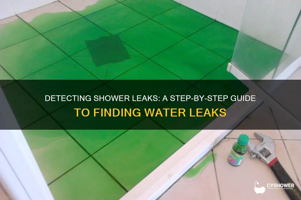 how to find where water leaking shower