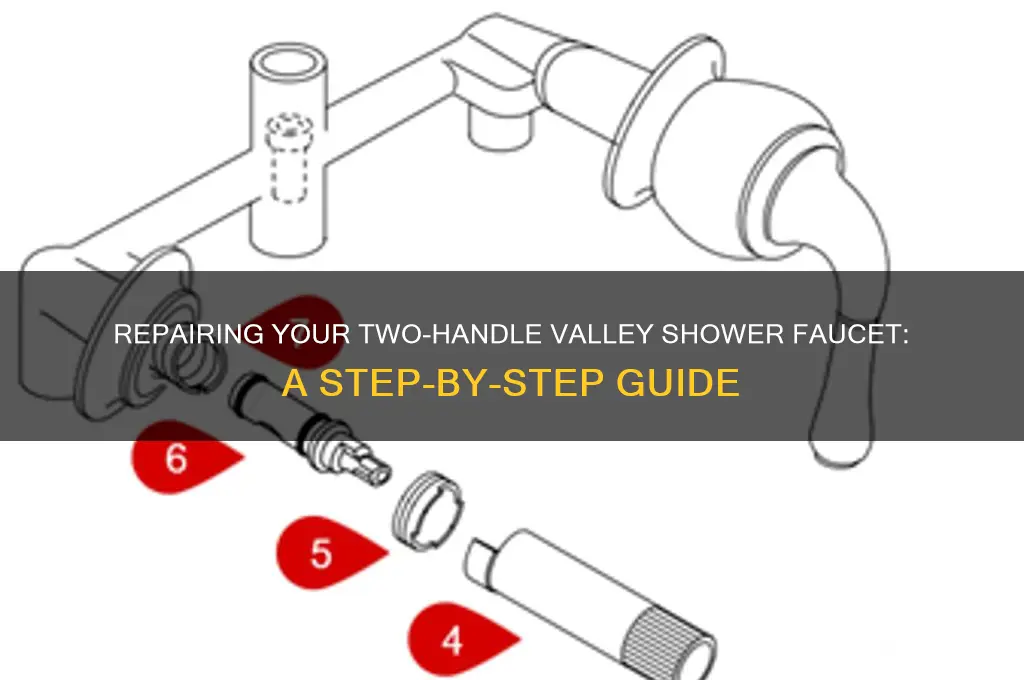 how to fix 2 handle valley shower faucet