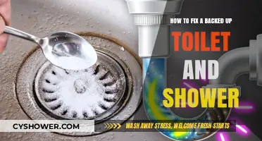 Quick Fixes for Backed-Up Toilets and Showers: DIY Plumbing Guide