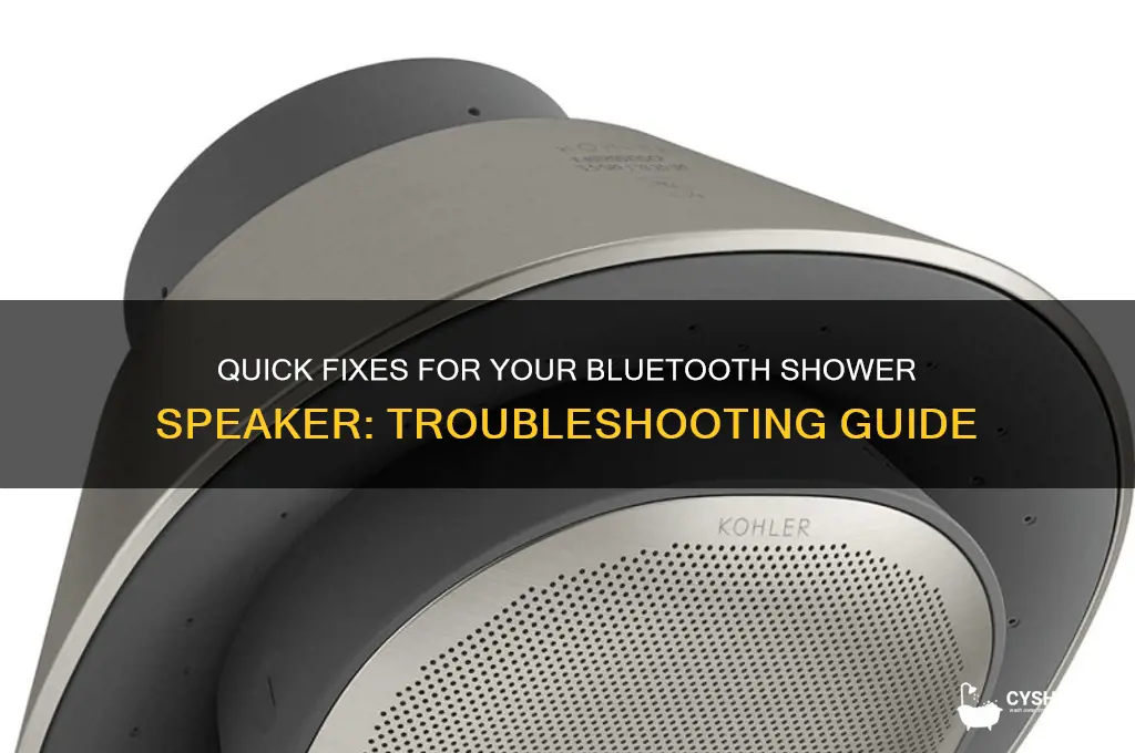 how to fix a bluetooth shower speaker