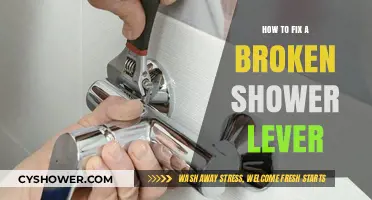 Quick DIY Guide: Repairing a Broken Shower Lever Easily