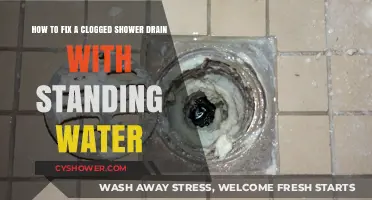 Quick Fixes for a Clogged Shower Drain with Standing Water