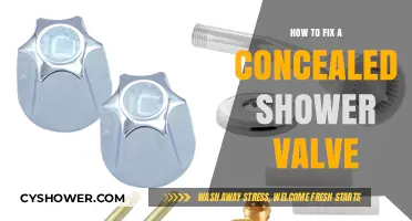 Concealed Shower Valve Repair: Step-by-Step Guide to Fix Leaks and Issues