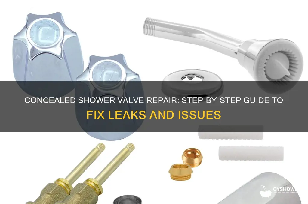 how to fix a concealed shower valve