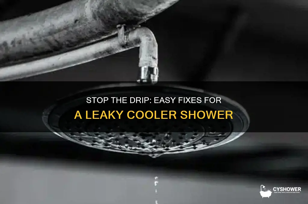 how to fix a cooler shower from dripping