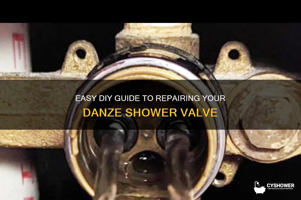 how to fix a danze shower valve