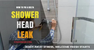 Quick DIY Guide: Repairing a Leaky Delta Shower Head Easily