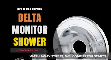 Quick Fix for a Dripping Delta Monitor Shower: DIY Guide