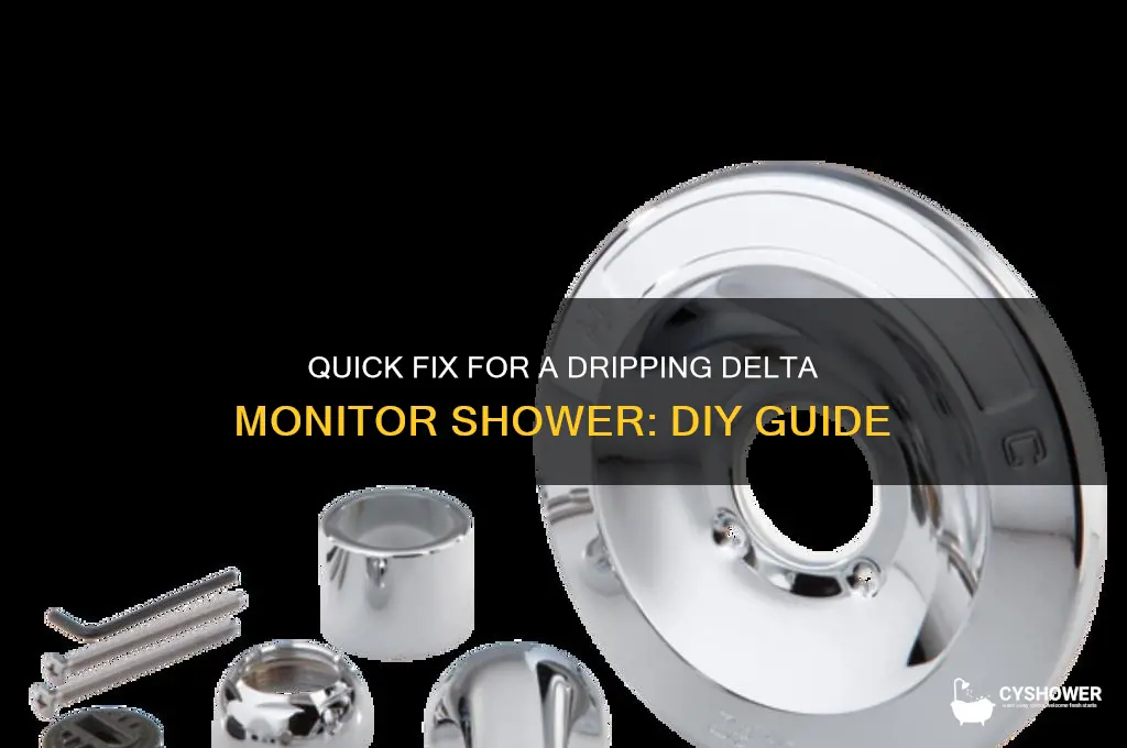 how to fix a dripping delta monitor shower