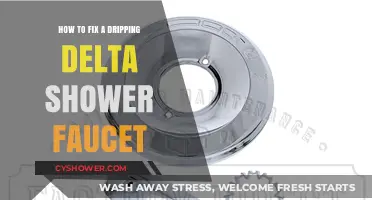 Quick Guide to Repairing a Leaky Delta Shower Faucet