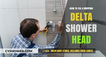 Quick Fix: Stop Your Delta Shower Head Dripping Easily