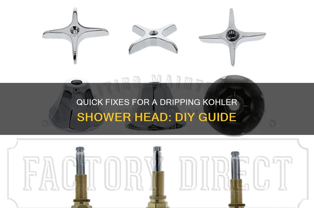 how to fix a dripping kohler shower head