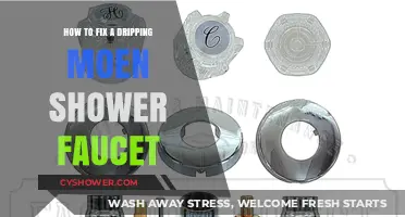 Quick DIY Guide to Repairing a Leaky Moen Shower Faucet